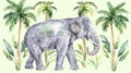 Adorable watercolor elephant on colorful abstract nature background. Elephant art. Concept of aquarelle illustration Royalty Free Stock Photo
