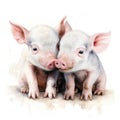 Adorable Watercolor Illustration of Two Baby Piggies Kissing on a White Background AI Generated