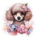 Adorable Watercolor Poodle with Flowers on White Background