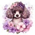 Adorable Watercolor Poodle with Flowers on White Background