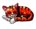 Adorable Watercolor Sleeping Cat Royalty Free Stock Photo