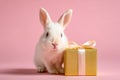 Adorable white bunny with a gift box on a pink background Royalty Free Stock Photo
