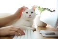 Adorable white cat lying near keyboard on table and distracting owner from work, closeup Royalty Free Stock Photo