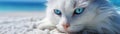Adorable white cat with mesmerizing blue eyes lying comfortably on a beach, AI-generated. Royalty Free Stock Photo