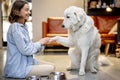 Dog gives a paw to a woman at home Royalty Free Stock Photo