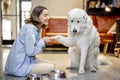 Dog gives a paw to a woman at home Royalty Free Stock Photo