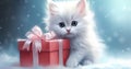 Snowy Surprise: Adorable White Kitten with a Festive Present in the Sty