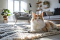 adorable white and orange fluffy cat lies on the carpet on the floor in light living room Royalty Free Stock Photo