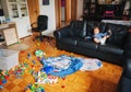 Adorable 1 year old baby boy with funny facial expression playing in a very messy living room Royalty Free Stock Photo