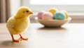 Easter chick standing on table with blurred colorful eggs in background cute spring holiday symbol for festive design Royalty Free Stock Photo