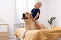 Adorable yellow labrador retriever and little boy