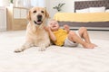 Adorable yellow labrador retriever and little boy