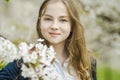 Adorable young girl in blooming cherry tree garden on beautiful spring day. Cute child picking fresh cherry tree flowers at spring Royalty Free Stock Photo