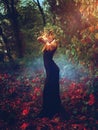 Adorable young witch casts a spell in the woods Royalty Free Stock Photo