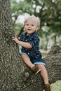 Adorably Happy and Cute Little Caucasian Toddler Baby Boy with Long Blond Hair Laughing, Smiling, Sitting, Climbing, and Playing i Royalty Free Stock Photo