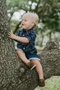 Adorably Happy and Cute Little Caucasian Toddler Baby Boy with Long Blond Hair Laughing, Smiling, Sitting, Climbing, and Playing i Royalty Free Stock Photo