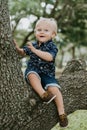 Adorably Happy and Cute Little Caucasian Toddler Baby Boy with Long Blond Hair Laughing, Smiling, Sitting, Climbing, and Playing i Royalty Free Stock Photo