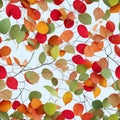 Adorn Your Space with a Seamless Pattern of Wall-Hanging Branches, Fall Leaves, and Vibrant Colorful Flowers.