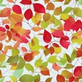 Adorn Your Space with a Seamless Pattern of Wall-Hanging Branches, Fall Leaves, and Vibrant Colorful Flowers.