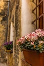 Adorned windows in the medieval streets of San Gimignano Royalty Free Stock Photo