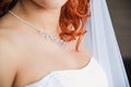 Adornment Royalty Free Stock Photo