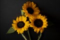 floral ornament of yellow sunflowers on a black background