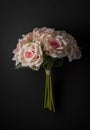 floral ornament of white roses on a black background Royalty Free Stock Photo