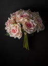 floral ornament of white roses on a black background Royalty Free Stock Photo