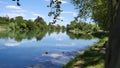 Adour River, Les Landes, Nouvelle-Aquitaine, France, Europe