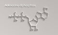 ADP or adenosine diphosphate molecular structure. DNA and RNA building block consisting of nitrogenous base, sugar and phosphate Royalty Free Stock Photo