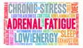 Adrenal Fatigue Word Cloud Royalty Free Stock Photo