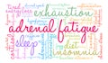 Adrenal Fatigue Word Cloud Royalty Free Stock Photo