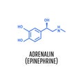 Adrenaline adrenalin, epinephrine molecule Royalty Free Stock Photo