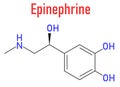 Adrenaline or adrenalin, epinephrine neurotransmitter molecule. Skeletal formula. Royalty Free Stock Photo