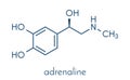 Adrenaline adrenalin, epinephrine neurotransmitter molecule. Used as drug in treatment of anaphylaxis Skeletal formula. Royalty Free Stock Photo