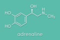 Adrenaline adrenalin, epinephrine neurotransmitter molecule. Used as drug in treatment of anaphylaxis Skeletal formula. Royalty Free Stock Photo