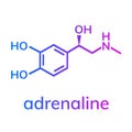 Adrenaline chemical formula Royalty Free Stock Photo