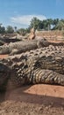 Adrenaline dose at Crocoparc Agadir, Drarga, Morocco