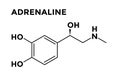 Adrenaline - epinephrine, adrenal gland hormone structural formula