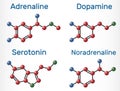 Adrenaline epinephrine, dopamine DA, serotonin, norepinephrine noradrenaline molecules. Monoamine neurotransmitters,