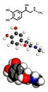 Adrenaline (epinephrine) hormone and neurotransmitter molecule