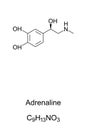 Adrenaline molecule, epinephrine skeletal formula