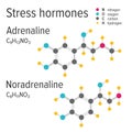 Adrenaline and noradrenaline stress harmones vector chemical formulas Royalty Free Stock Photo