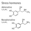 Adrenaline and noradrenaline stress harmones vector chemical formulas Royalty Free Stock Photo