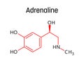Adrenaline structural formula of molecular structure Royalty Free Stock Photo