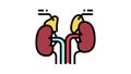 adrenals endocrinology color icon animation