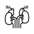 adrenals endocrinology line icon vector illustration