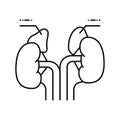 adrenals endocrinology line icon vector illustration