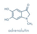 Adrenolutin molecule. Oxidation product of adrenalin. Skeletal formula