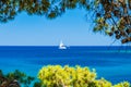 Adriatic coast in Croatia, Dugi otok island, sailing boat on sea horizon in bay on Veli Rat Royalty Free Stock Photo